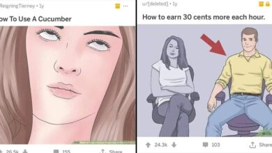 wikihow memes